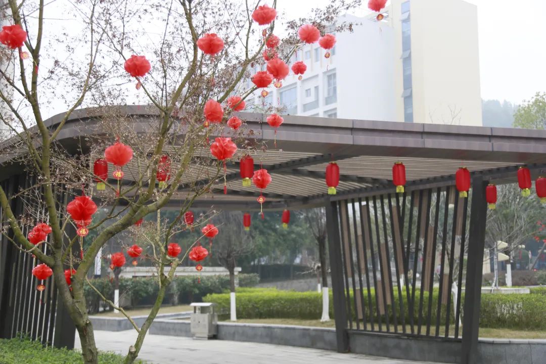 图片9.jpg