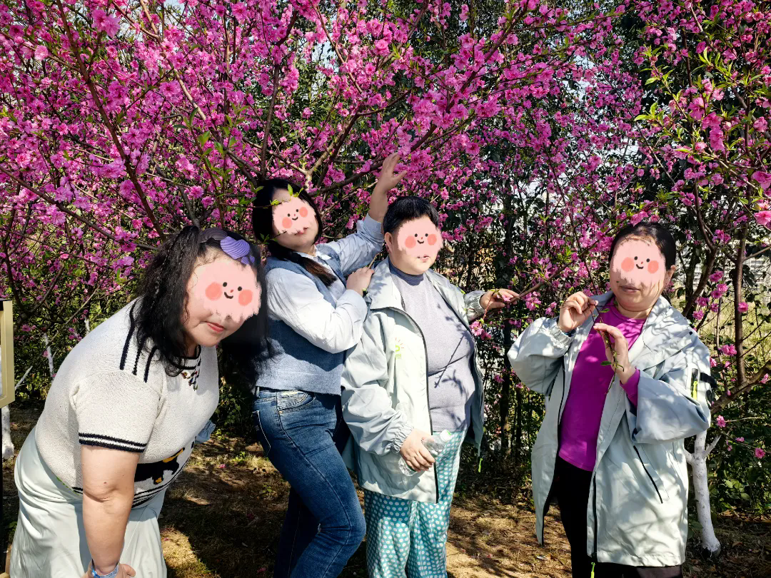 640.webp (3).png